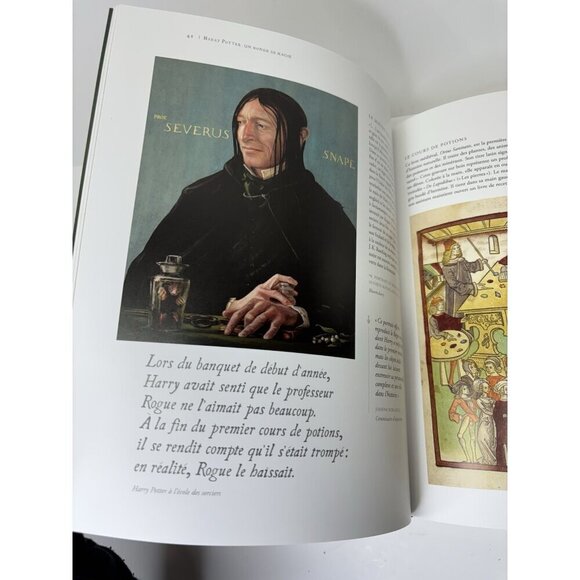 Harry Potter Un Monde De Magie Book British Library FRENCH EDITION 2018 265p. - Picture 10 of 16